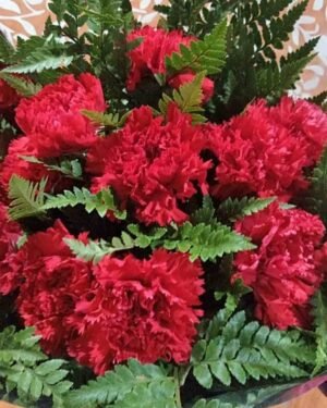 Ramo de claveles rojos