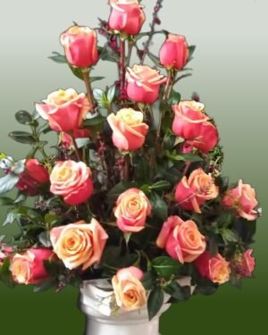 Arreglos Triangulares 1