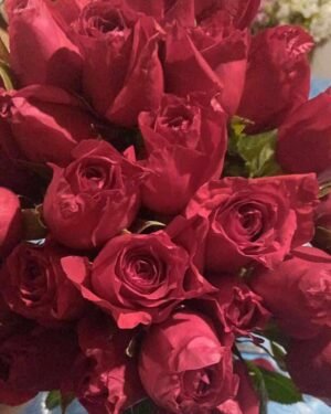 RAMO-EGRESADOS-R0SAS