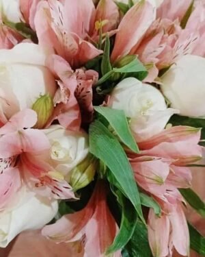 Momentos inolvidables